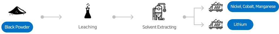 Black Powder - Leaching - Solvent Extracting - Nickel, Cobalt, Manganese / Lithium